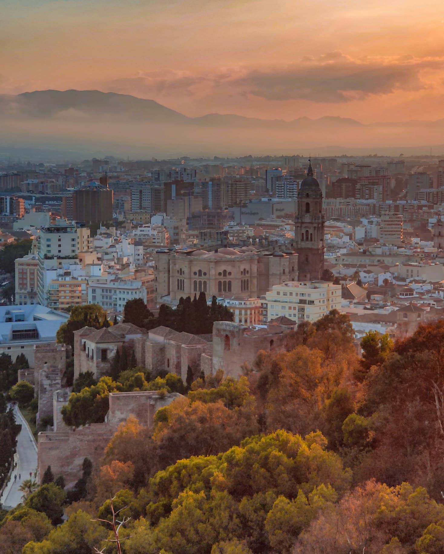 header