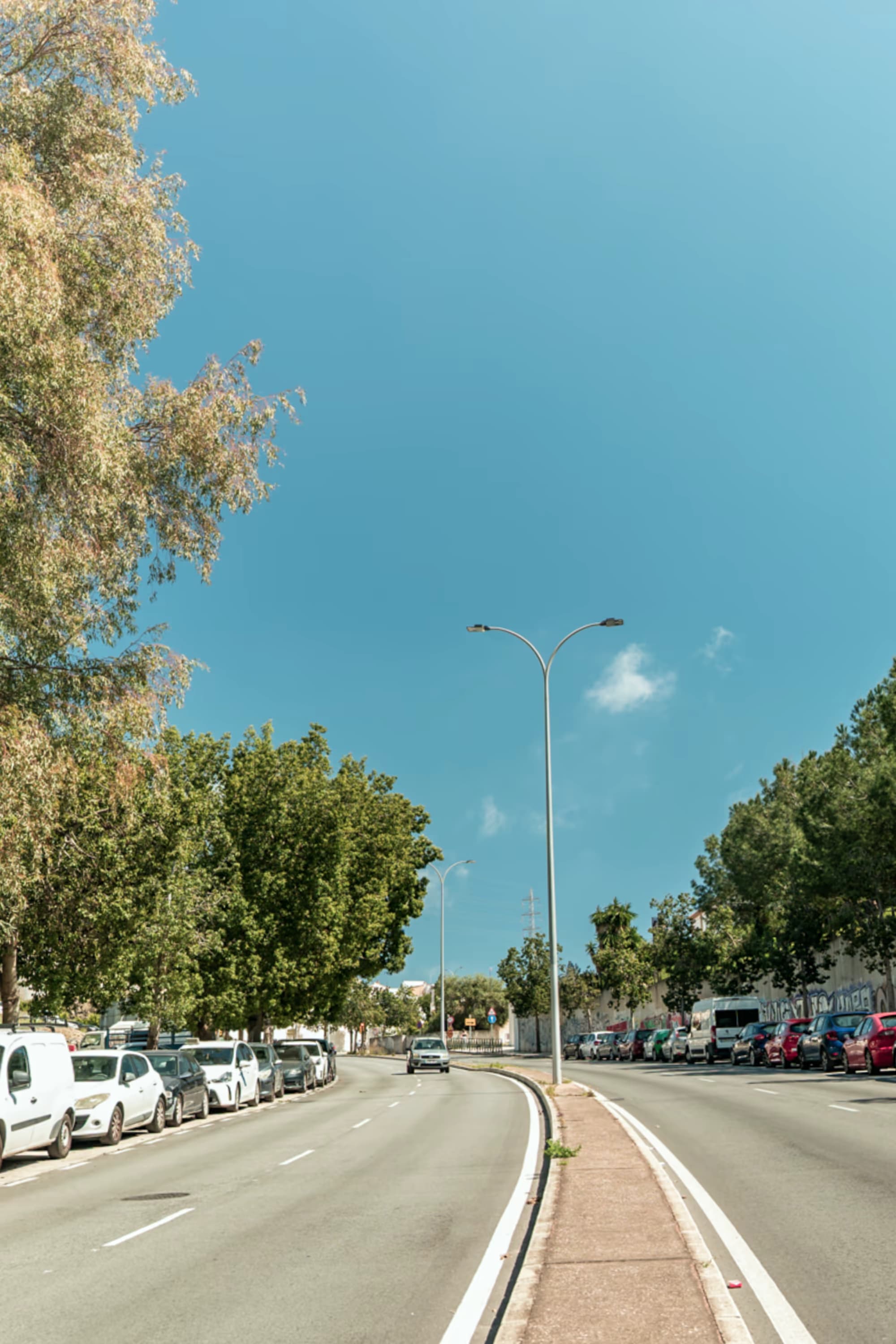 Camino de los Almendrales