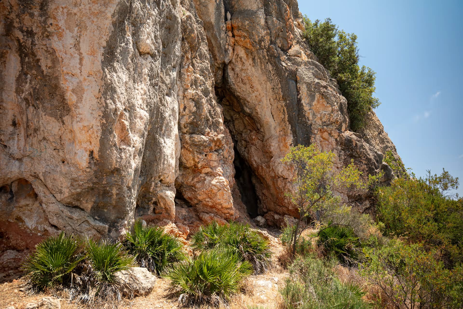 Cueva