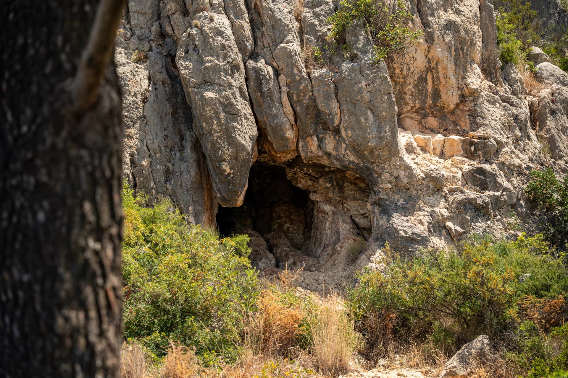 Cueva