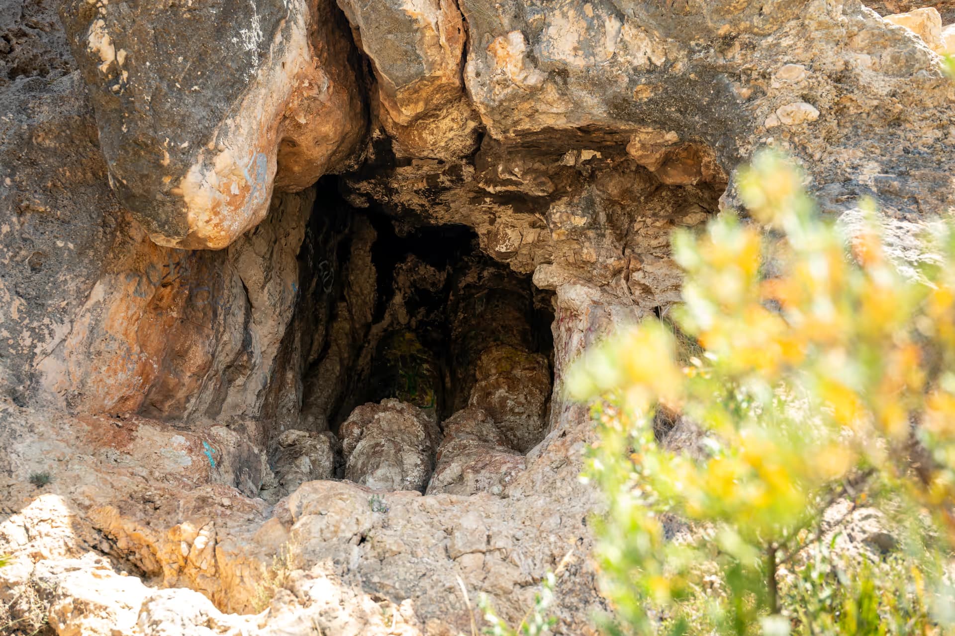 Cueva