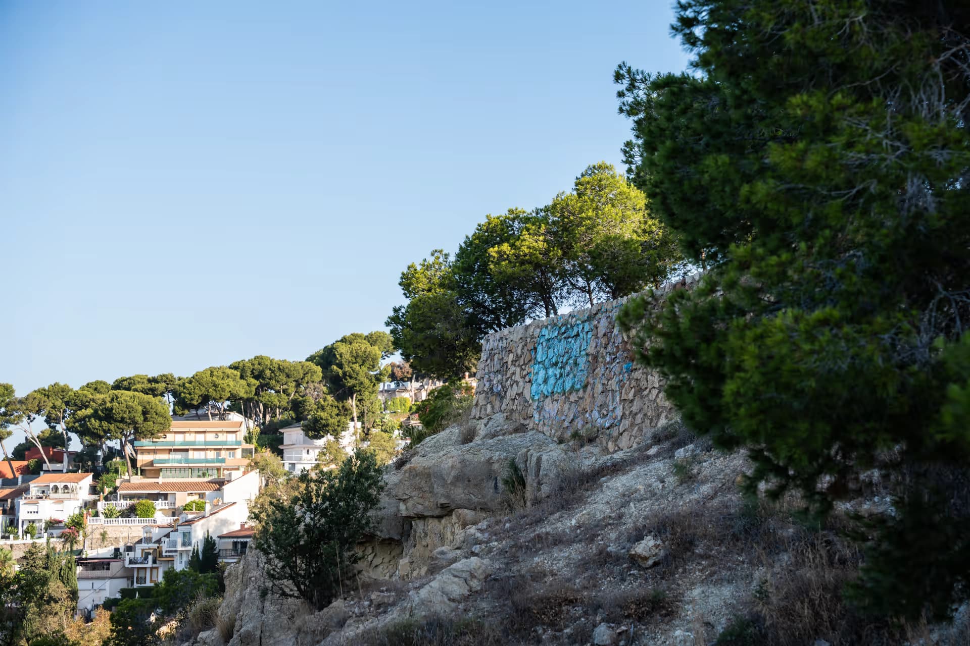 El Morlaco Viewpoint