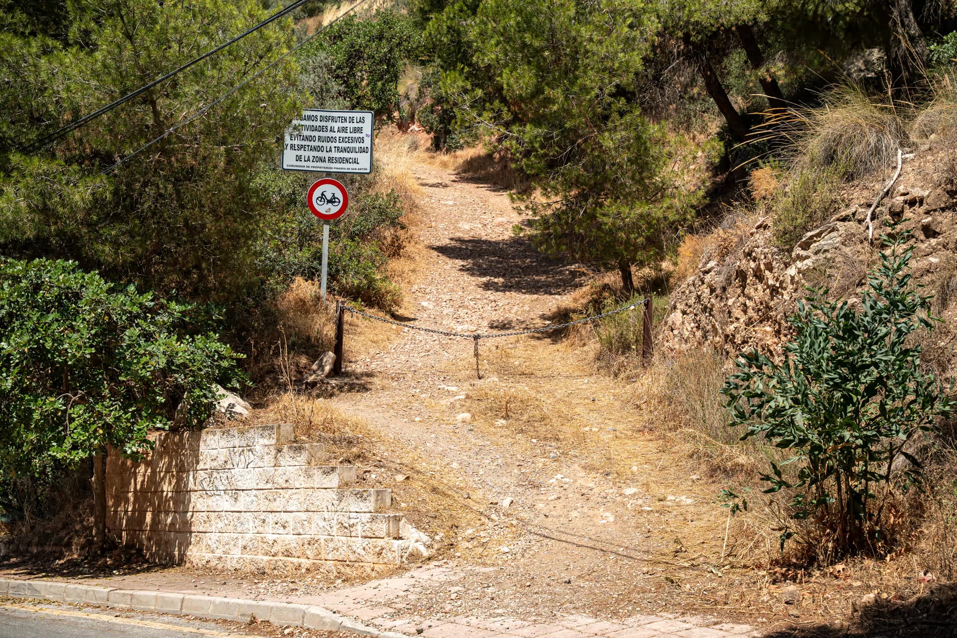 Pinares Nuevo