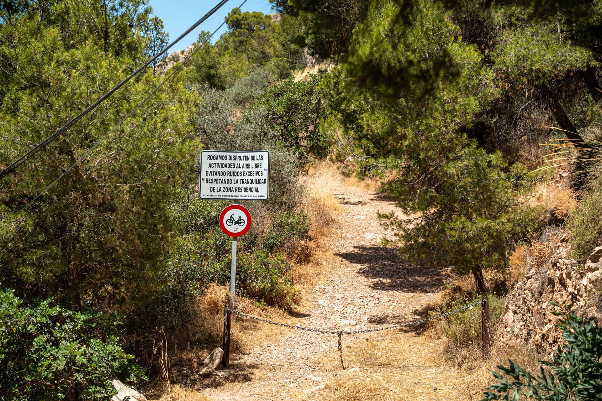 Pinares Nuevo