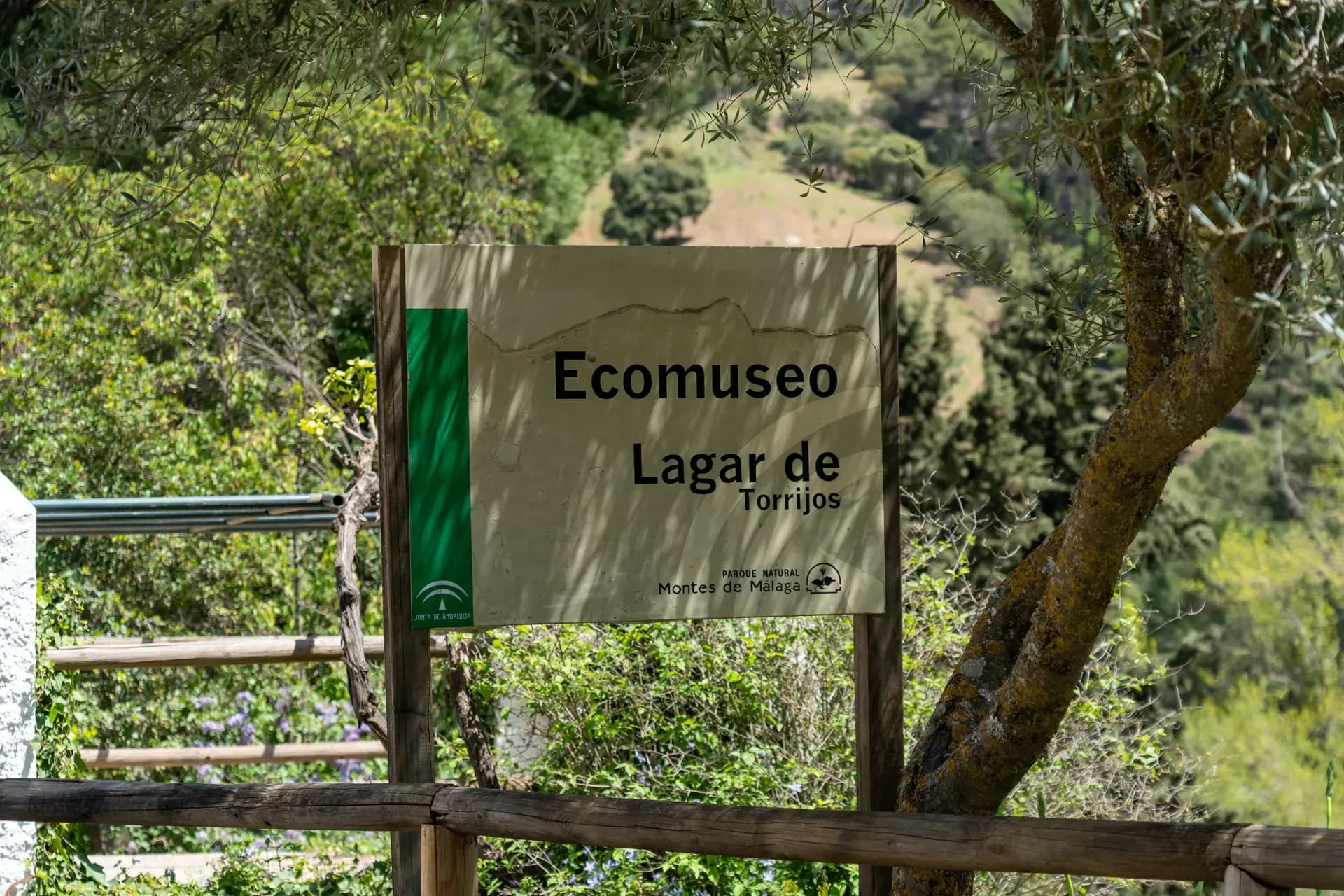 Lagar de Torrijos
