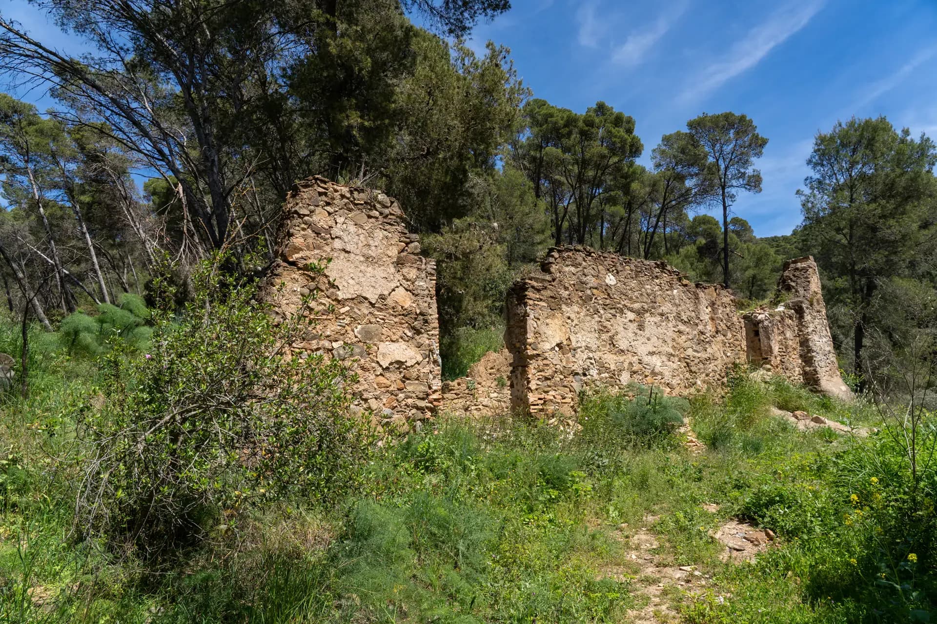 Lagar de Pacheco Bajo